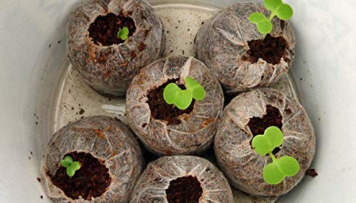 Puresprout-Hydroponics Jiffy Coco Pellets/Coco disc/Coco Coin/Coir Coin 50mm Growing Medium (Set of 70)