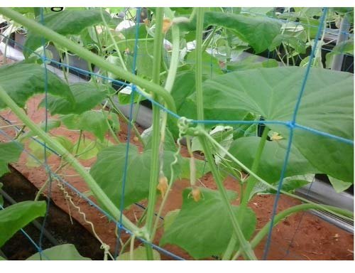 Puresprout.in-Plant Climbing/Creeper Plant Support Net for Agriculture and Gardening