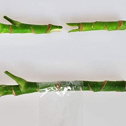 Puresprout.in-200M X 3 Inch Grafting Stretchable Moisture Barrier Plant Repair Tape for Nursery & Garden