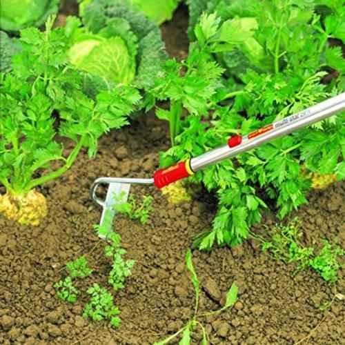 Puresprout-Wolf Garten HW-M 15 Multi Star Draw Hoe without handle