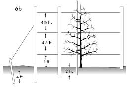 Puresprout.in-(4.0mmx50Mtr) Beakaert Duron Trellising Wire