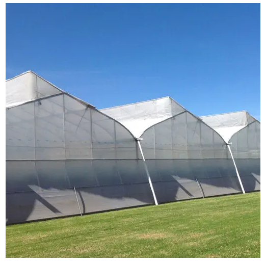 PURESPROUT.IN- (3.0MX50M) U. V. STABALIZED ANTI‐INSECT NET FABRICS 30 MESH