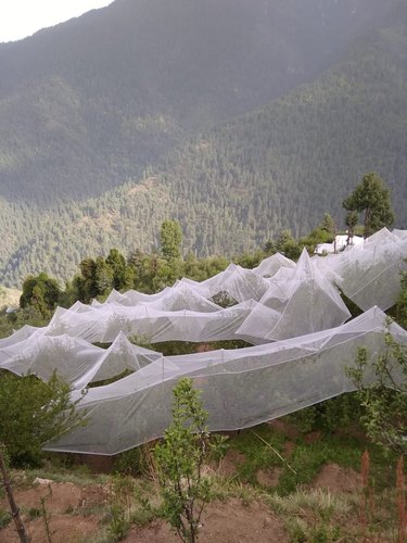 Puresprout.in-Anti Hail Leno Weave Net(60GSM)(4.12X30m)