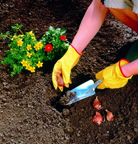 Puresprout-Wolf-Garten Flower Trowel Lu-Z