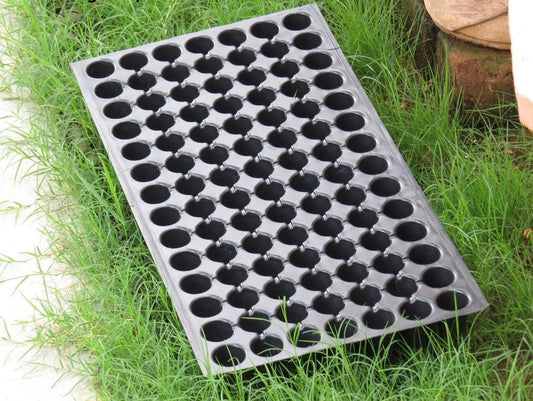 Puresprout.in-Plastic Seed Tray Set_0.7mm