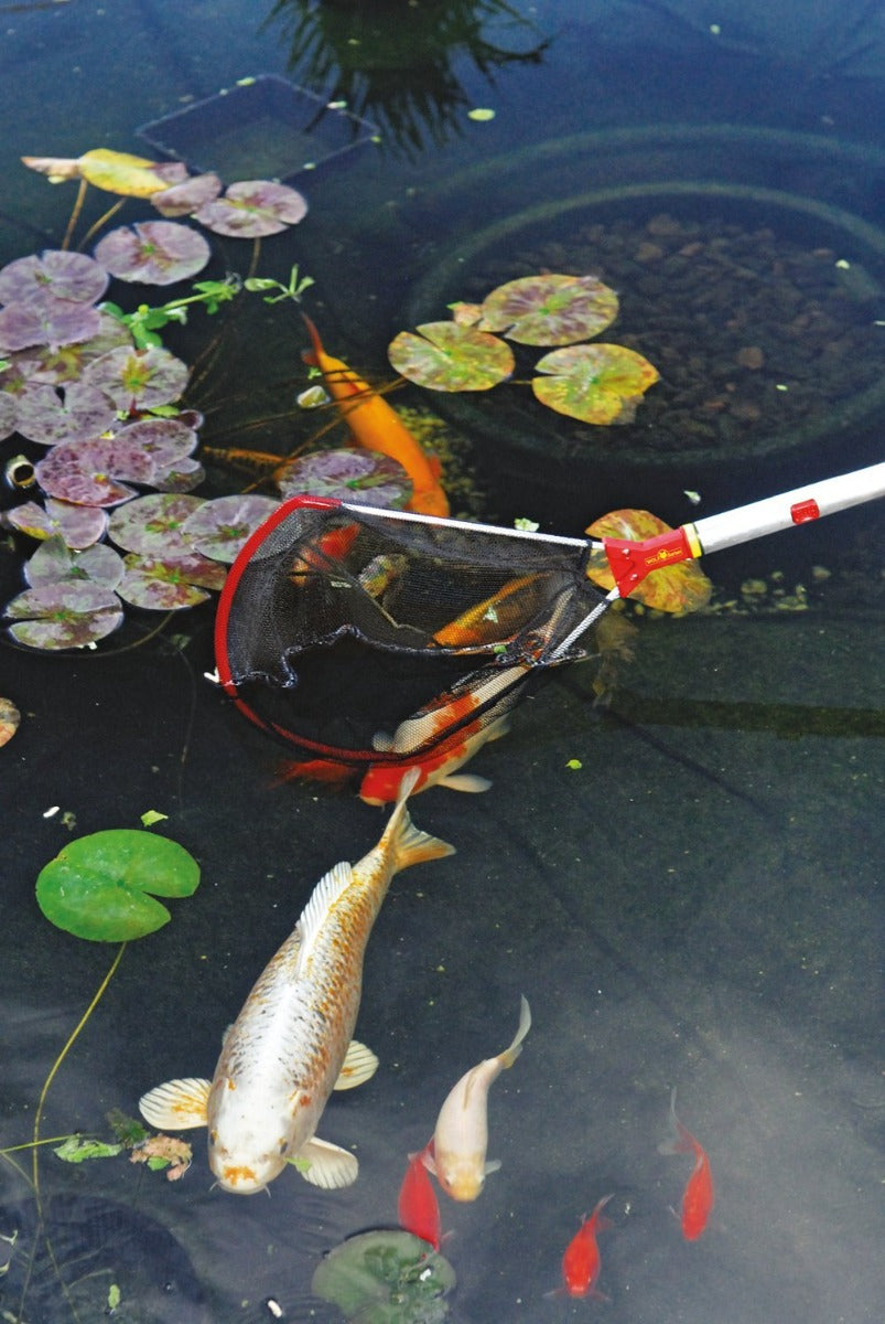 Puresprout-Wolf-Garten Multi Star Catching Net Without Handle WF-M