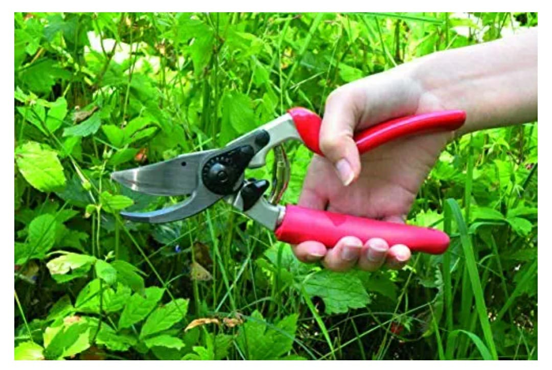 Felco F-7 Gardening Hand Pruner with Rotating Handle