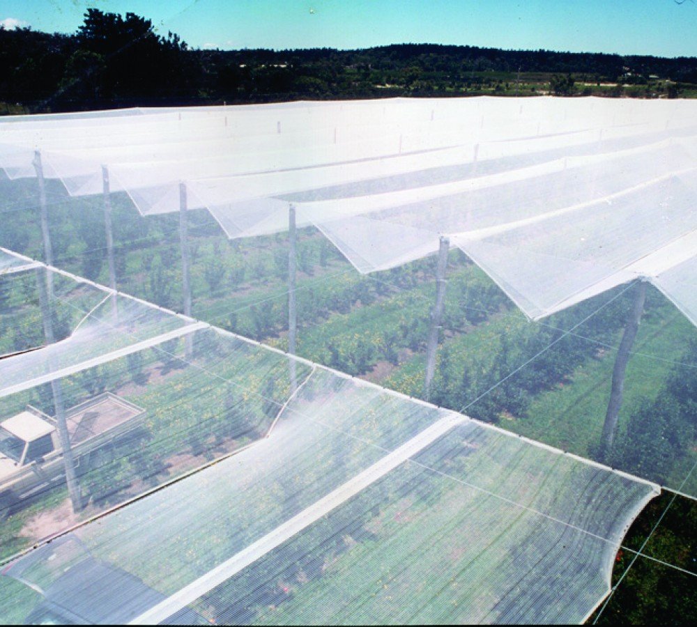 Puresprout.in-Anti Hail Crossover Weave Net(70-80GSM)(3mX10m,3mX20m,3mX30m,3mX40m,3mX50m,)