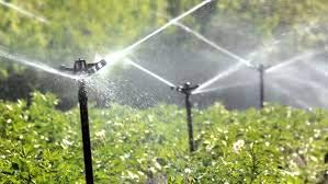 Half Inch Plastic Sprinkler