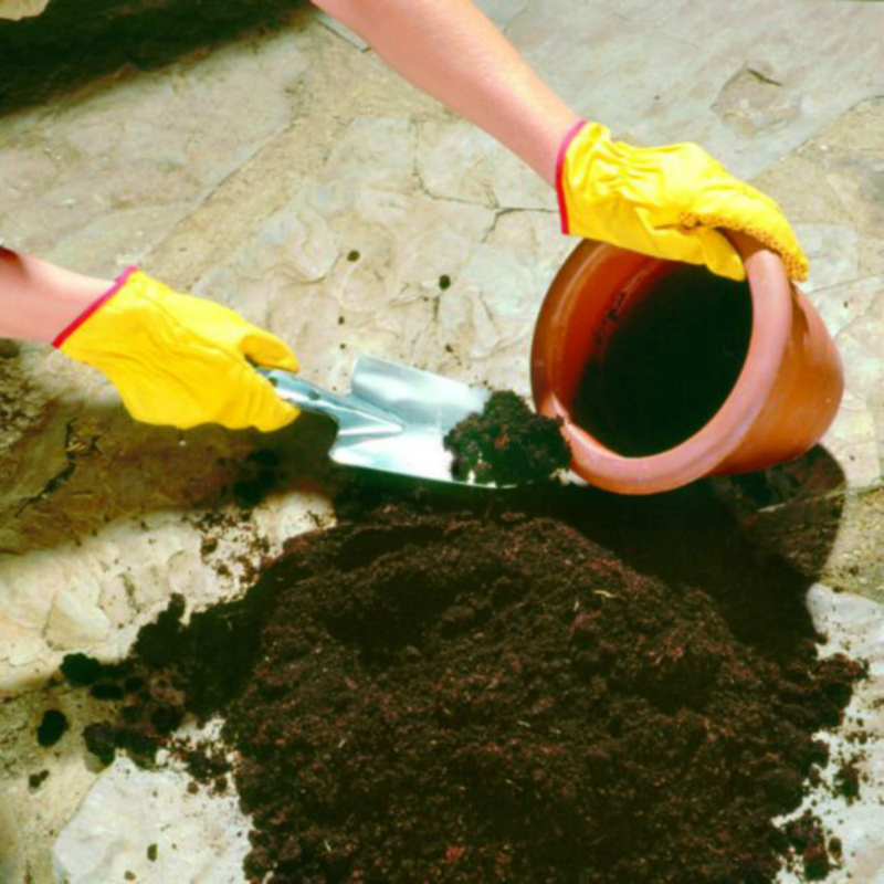Puresprout-Wolf-Garten Flower Trowel Lu-Z