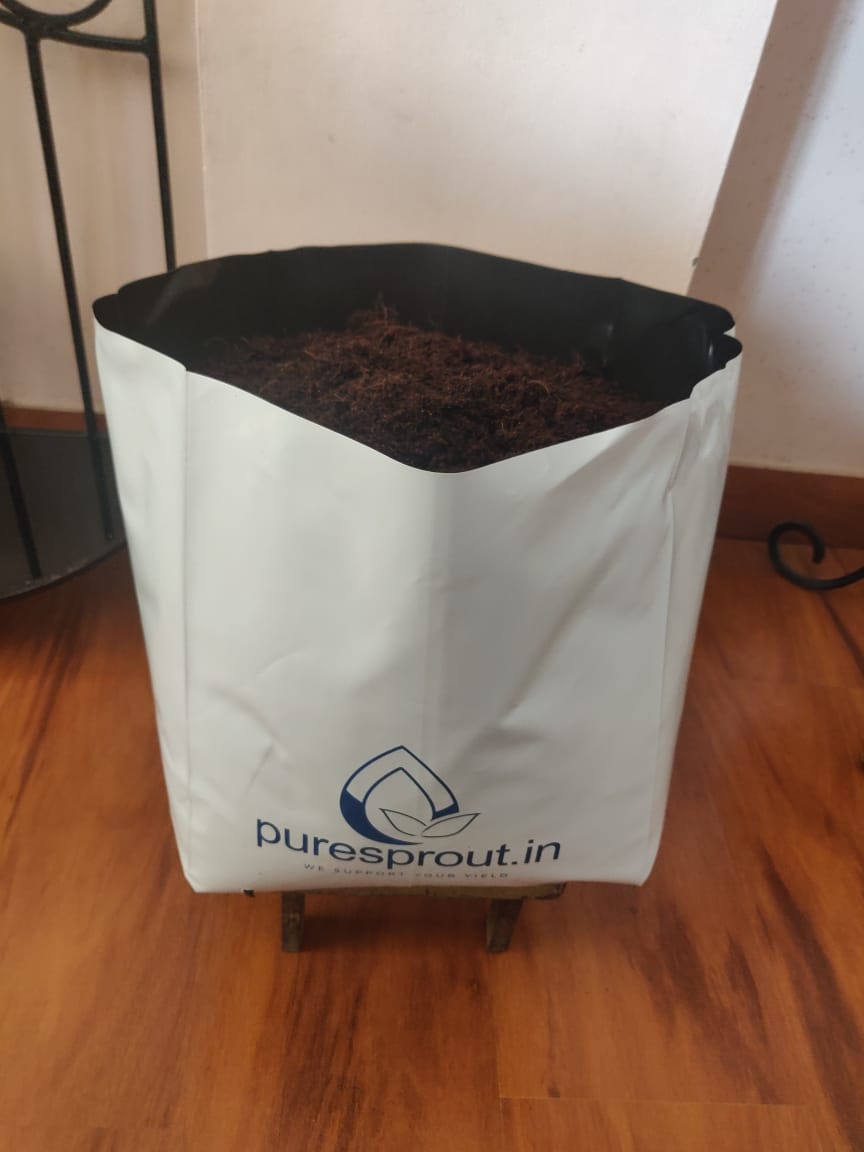 Puresprout-UV Treated Poly Grow Bags Perfect for Vegetable and Flowering Plants(White Outside, Black Inside Grow Bags[35x20x20]cm-5 Qty.